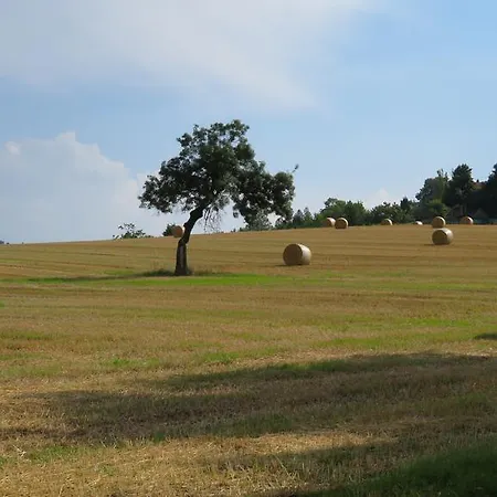 Farm stay Gli Ulivi Monteveglio