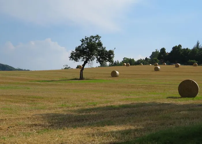 Lantgård Gli Ulivi Monteveglio