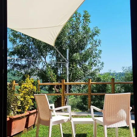 Gli Ulivi