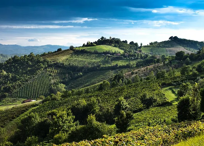 Gli Ulivi Çiftlik konaklama Monteveglio