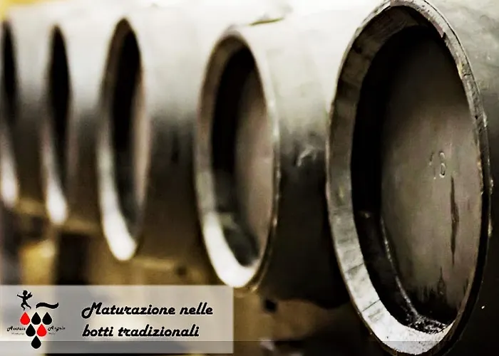 Çiftlik konaklama Gli Ulivi *